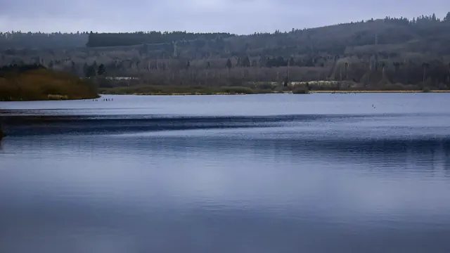 Jungfernweiher bird sanctuary near Ulmen in the Eifel
