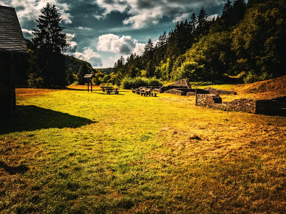 Open meadow in Kaulenbachtal with old slate mining remains and forest edge